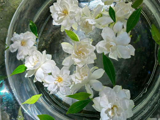 1757166 (a): :2560x1920